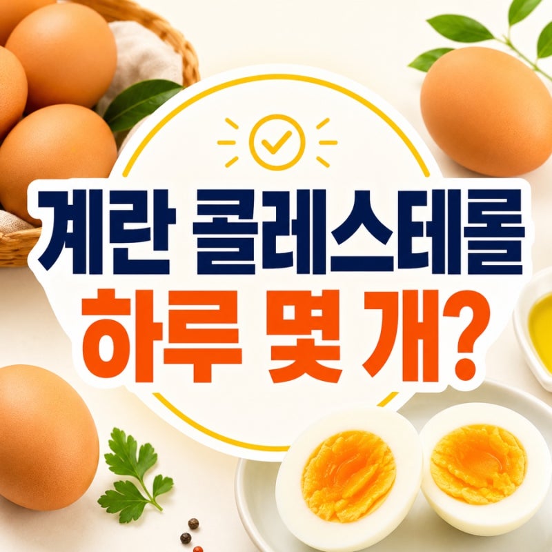 계란 콜레스테롤, 하루 몇 개까지 먹어도 될까?