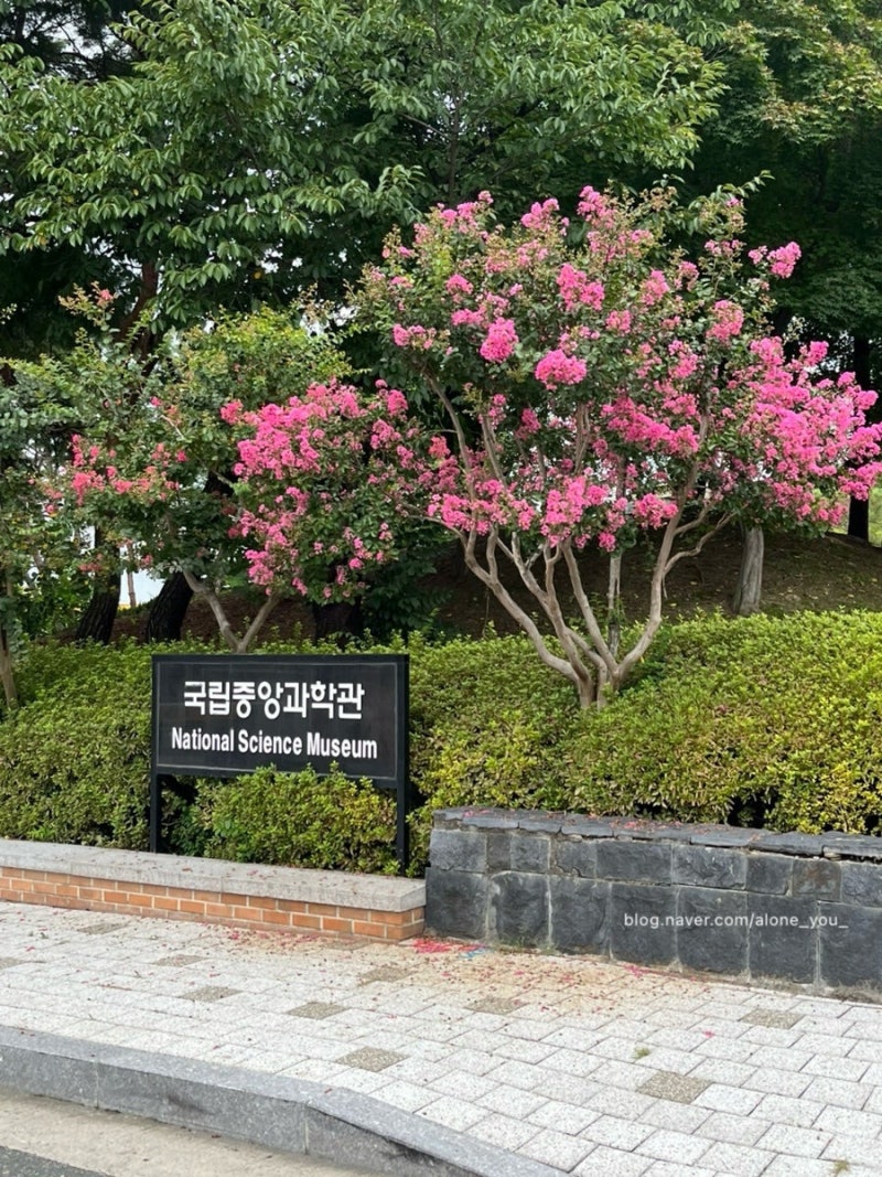 [국립중앙과학관] 아이와 함께 가면 좋은 대전 실내 여행 장소 | 관람 코스 추천 | 주차, 요금,....
