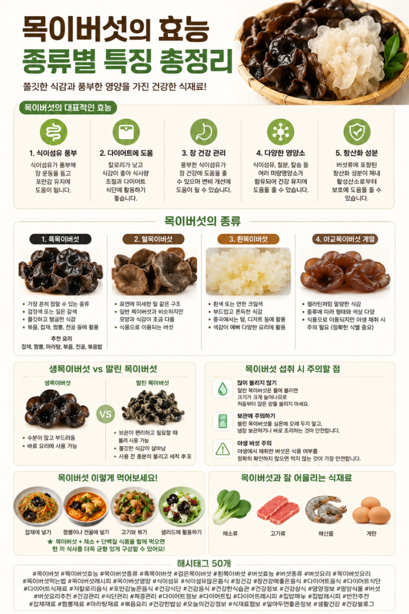 목이버섯 효능 총정리｜검은목이버섯부터 흰목이버섯까지, 종류별 특징 알아보기