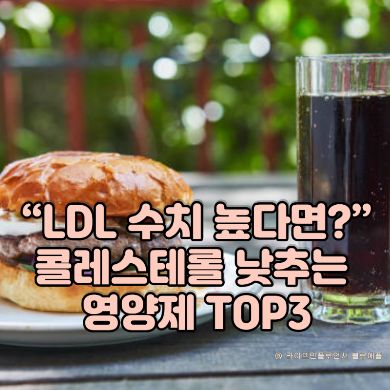 “LDL 정상수치 넘었다면?” 콜레스테롤낮추는영양제 TOP3