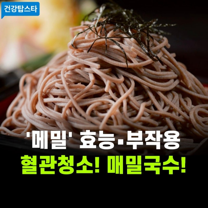 메밀 효능과 부작용 | 올바른 섭취법 (메밀국수)