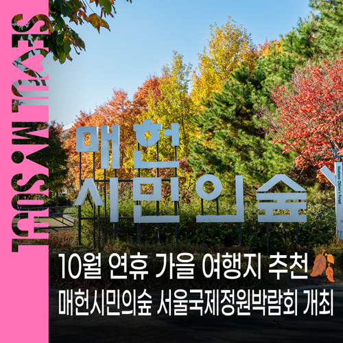 가을 나들이 추천! 매헌시민의숲 서울국제정원박람회 가을행사 기간·프로그램 미리보기 | ....