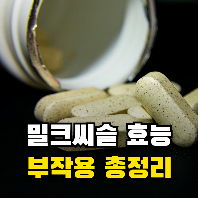 밀크씨슬 효능, 실리마린 함량 비교부터 복용시간·부작용까지
