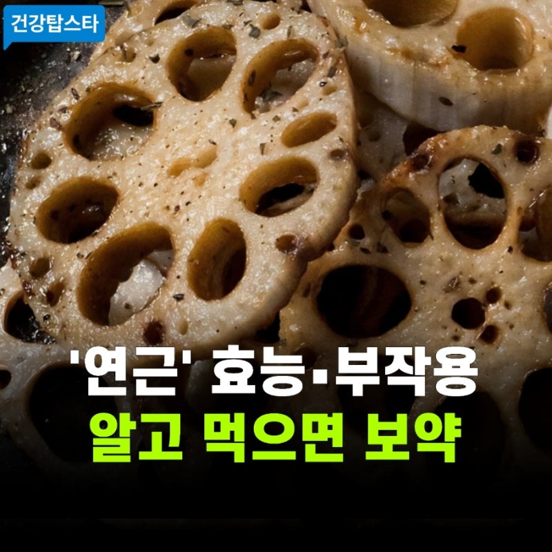 연근 효능과 부작용 | 알고 먹으면 보약! 올바른 섭취법