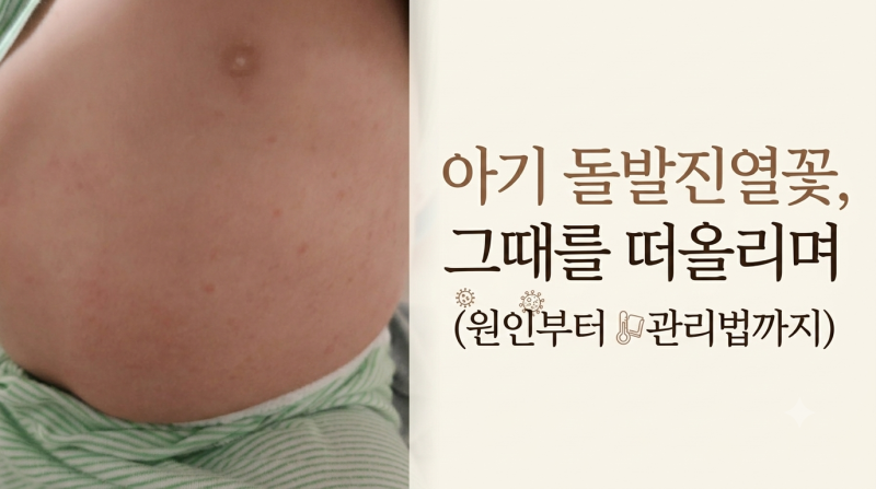 아기 돌발진열꽃, 그때를 떠올리며 (원인부터 관리법까지)