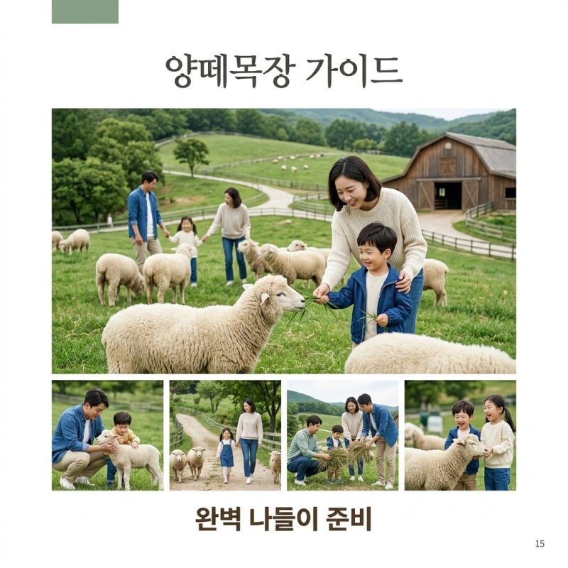 양떼목장 완전정복: 대관령부터 서울 근교까지 2026년 최신 정보!