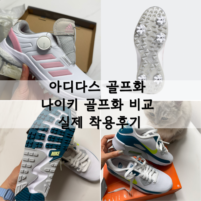 여성골프화 아디다스 골프화 나이키 골프화 비교, 스파이크와 스파이크리스 실제 착용후기