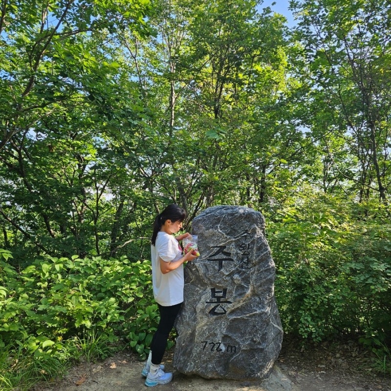 청송 주왕산 등산코스 소요시간 주차장 여름등산 준비물