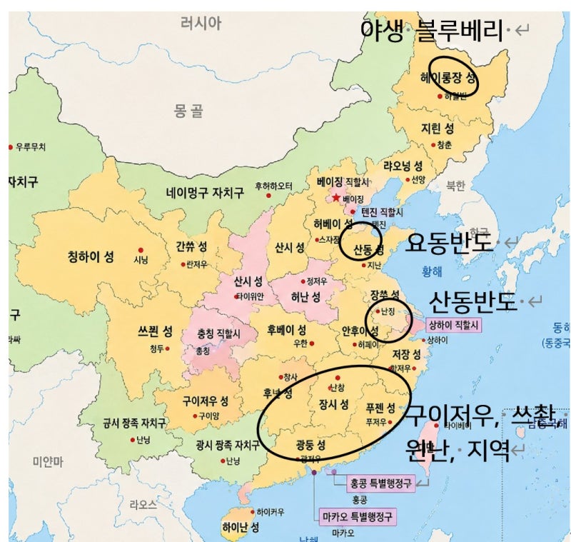 한국에 수입되고 있는 블루베리 특징