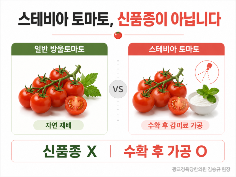 스테비아 토마토, 정말 건강한 토마토일까요? 수원 다이어트 환자들에게 드리는 이야기 | 광....