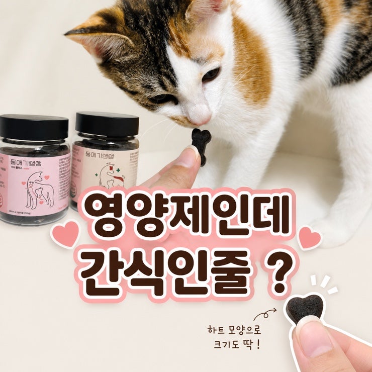고양이종합영양제 아무거나 먹이면 될까? 다묘가정 울애기쌩쌩 급여후기