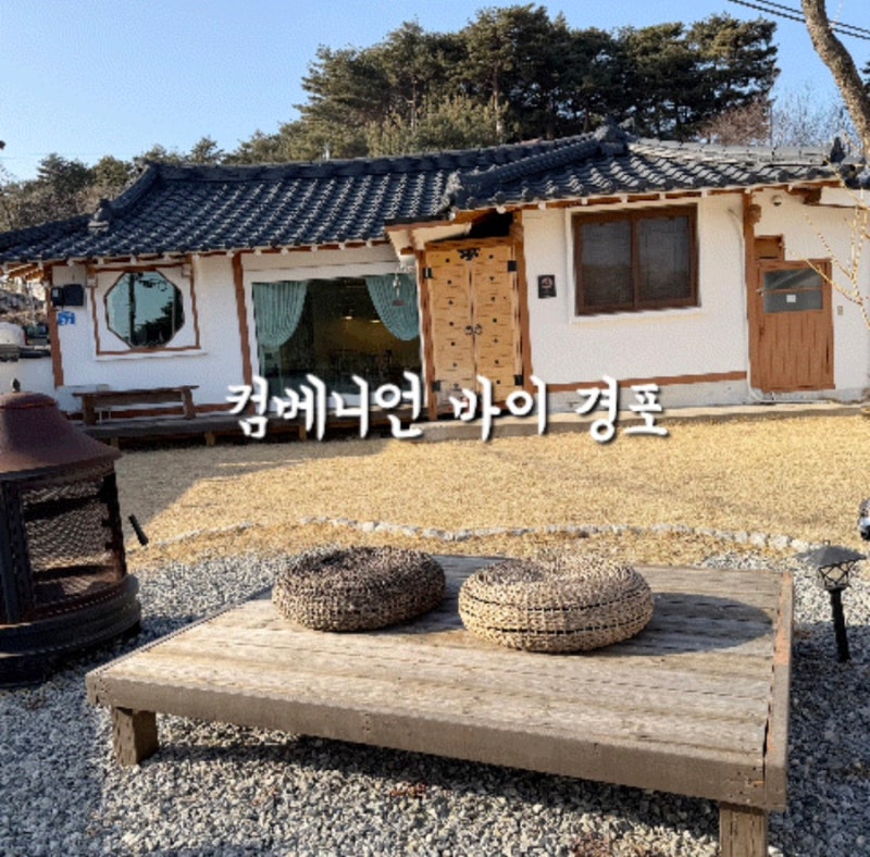 강릉 애견동반 펜션 추천 대형견 가능 한옥독채 컴페니언바이경포 후기