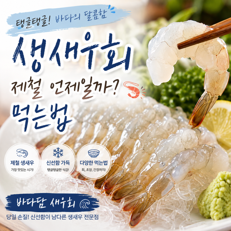생새우회 제철 언제일까? 먹는법부터 손질·보관·새우머리 활용까지
