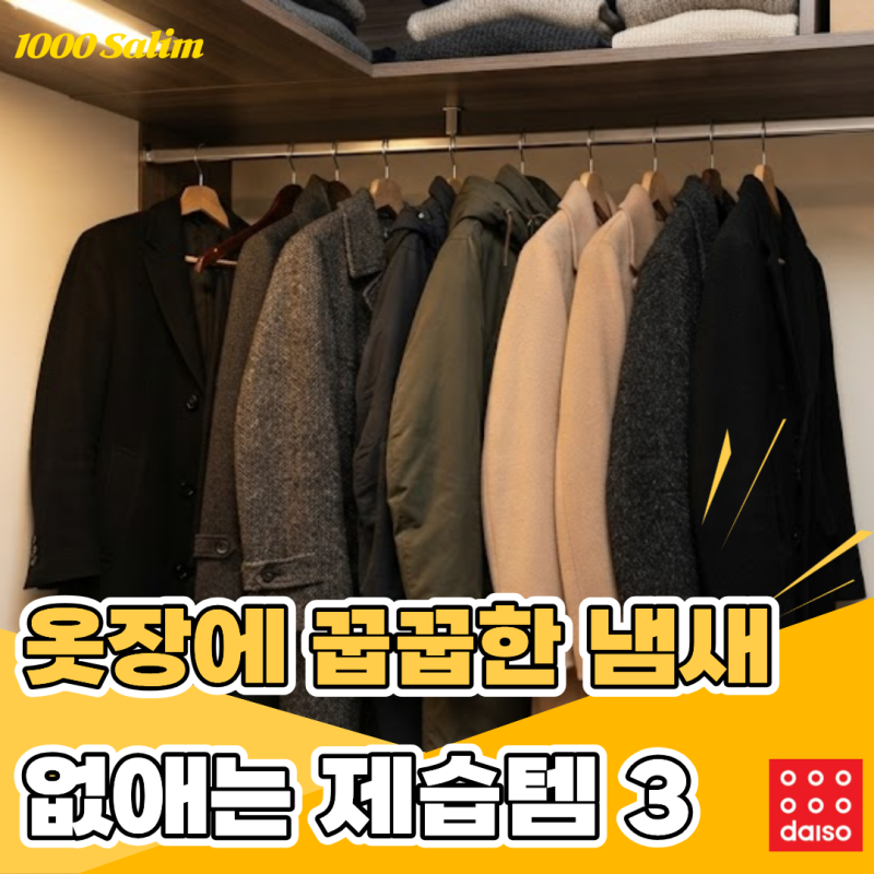 “옷장 냄새 그냥 넘겼어요?” 습한 집에 필요한 다이소 제습제 3가지