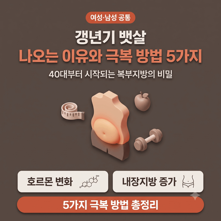 갱년기 뱃살 빠지지 않는 이유와 극복 방법 5가지 남녀 원인 차이 총정리