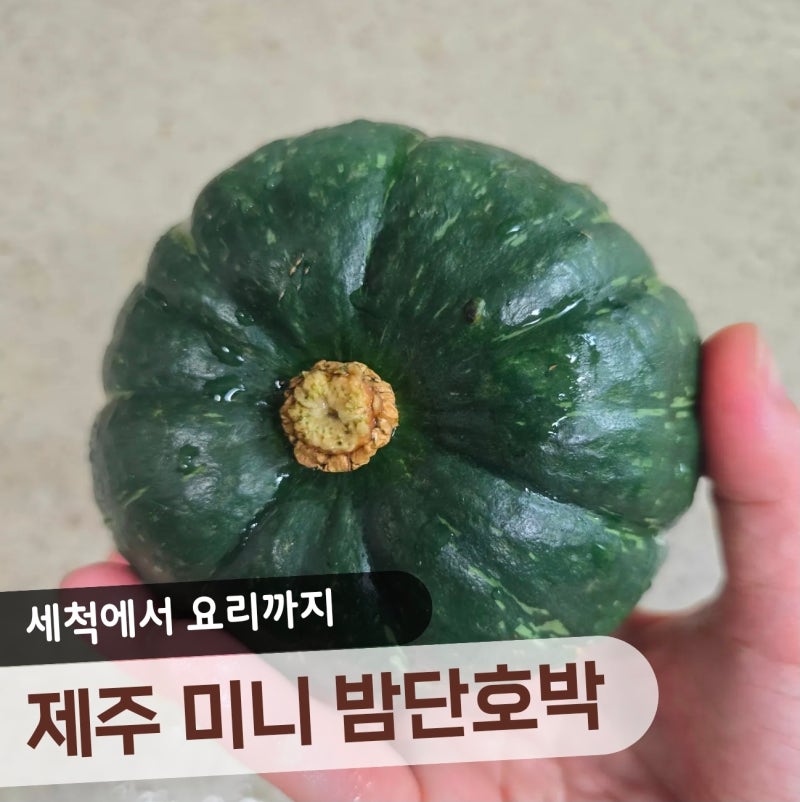 [제주 미니 밤호박] 에어프라이어로 촉촉하게 굽는 법, 전자레인지 없이도 OK!