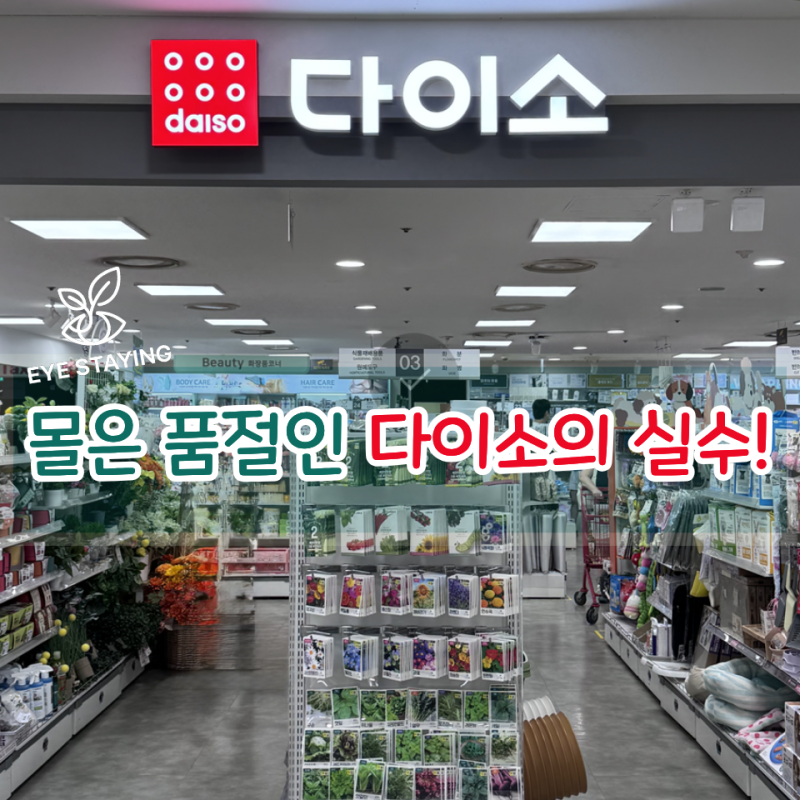 다이소의 실수라던 "이것"! 드디어 샀어요! 몰은 아직도 품절..