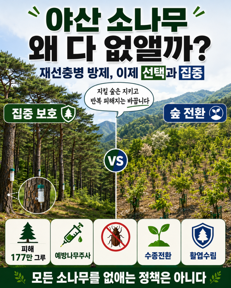 소나무재선충병 방제 바뀐다, 야산 소나무 베고 활엽수 심는 이유