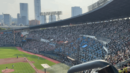 [야구 직관 일기] 26.06.28. 잠실 야구장 기아 두산전 단군 더비 일요일 원정 직관 후기