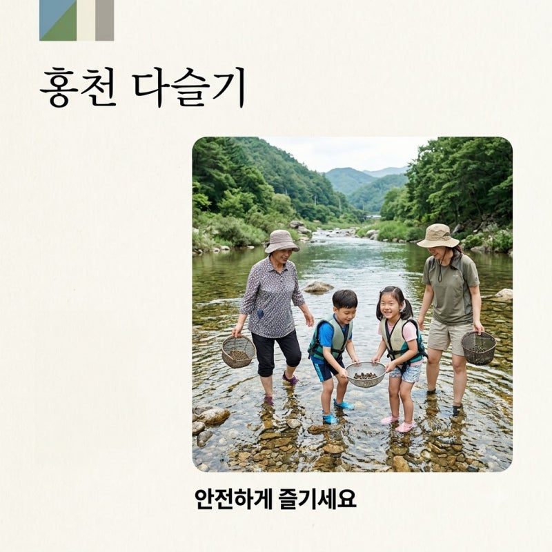 홍천 다슬기 핵심 가이드: 채취 명소부터 맛집, 안전수칙까지!