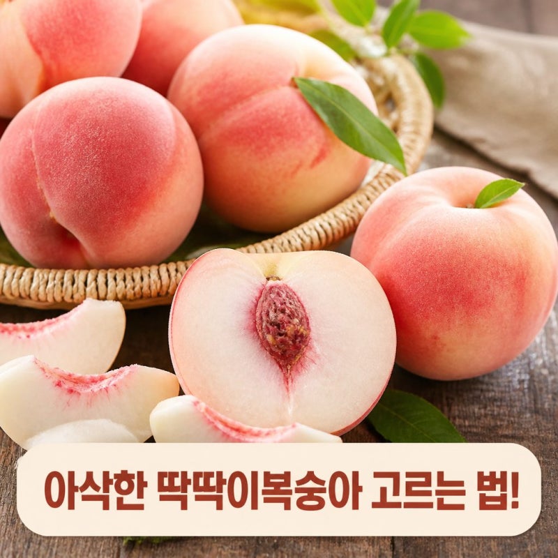 딱딱이복숭아 제철 아삭하게 고르는 법과 보관법