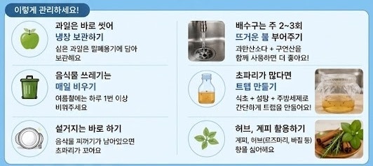 초파리 안 생기는 주방 관리법, 여름만 되면 날아드는 초파리 없애는 법, 여름철 초파리 생기....