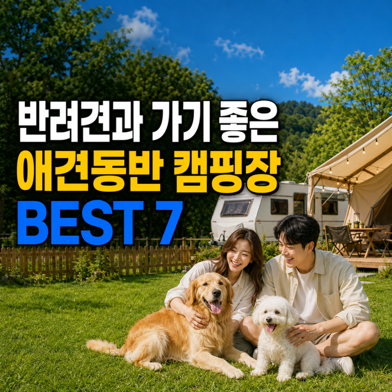 4탄. 반려견과 가기 좋은 캠핑장 BEST 7｜반려견 운동장·개별 울타리·수영장까지 갖춘 애견동....