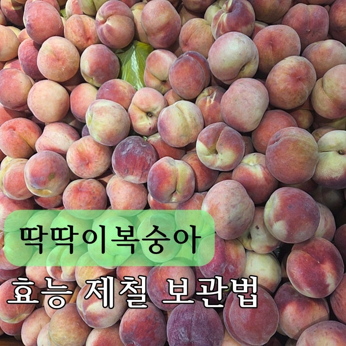 딱딱이복숭아 효능 제철 보관법