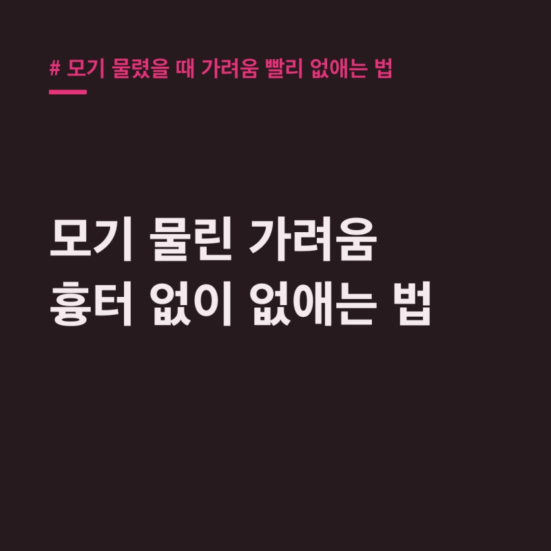 모기 물렸을 때 가려움 빨리 없애는 법, 자국 흉터 예방 꿀팁
