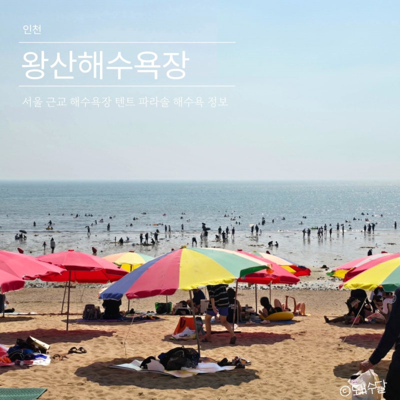 서울 근교 왕산해수욕장 텐트 파라솔 가격 이용료 주차 물때