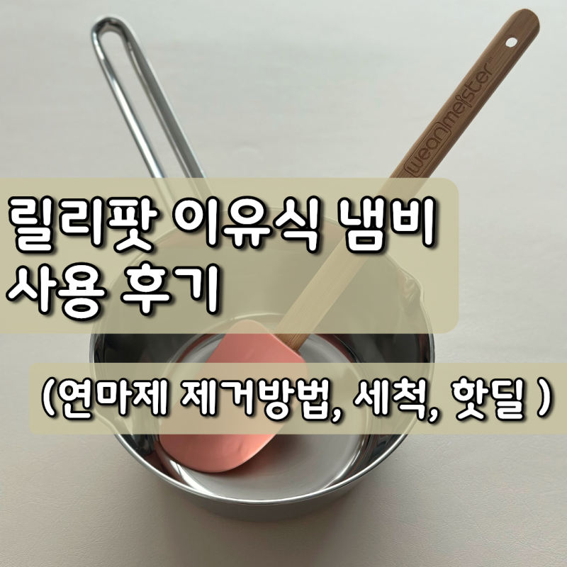 초기 이유식 준비물, 이유식 냄비 추천, 릴리팟 이유식 냄비&스파츌라 사용 후기