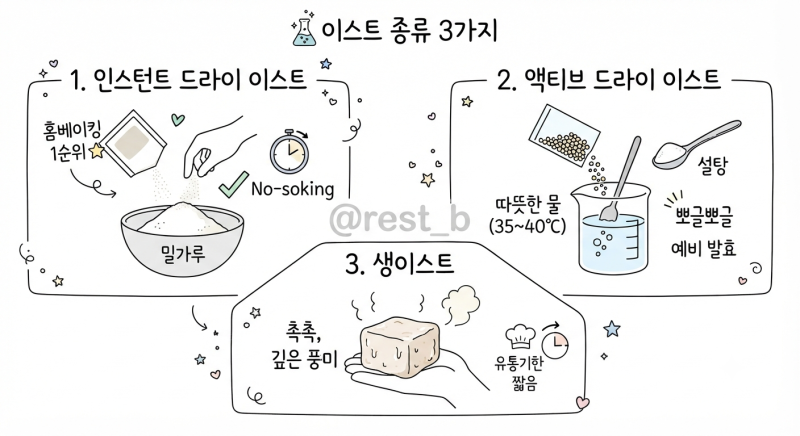 인스턴트 vs 생이스트 차이점과 올바른 사용·보관법