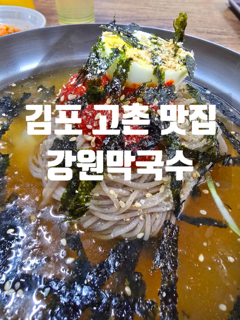 김포 고촌 맛집 시원한 강원막국수.