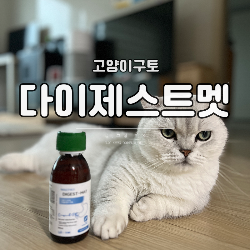 고양이영양제 구토가 잦은 아이를 위한 바이올렛벳 다이제스트멧 강아지소화제