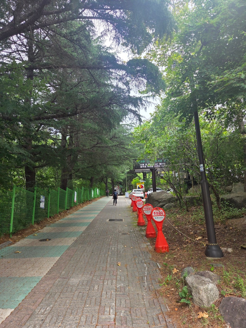 팔공산 등산 수태골 동봉 코스 원점회귀 주차장 좋음