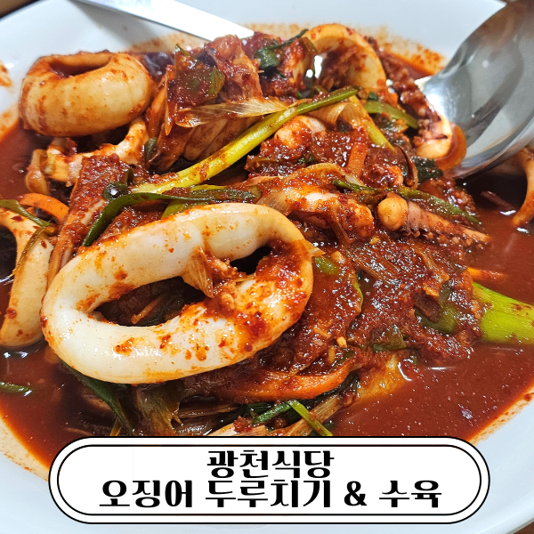 대전 맛집 광천식당 오징어두루치기 직접 먹어본 후기