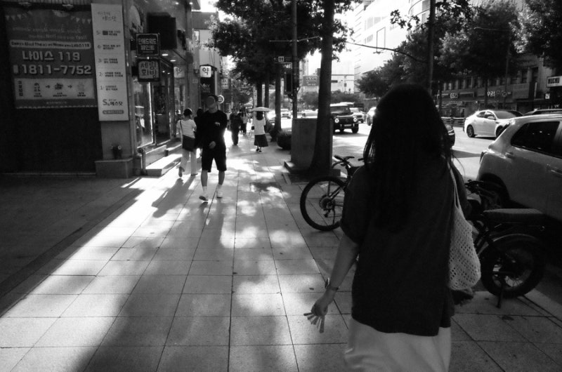 리코 gr2 작례_흑백모드