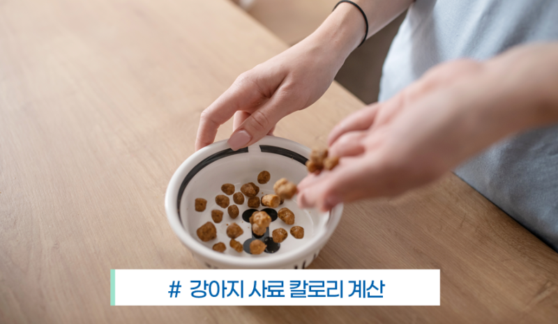 강아지 하루 사료 급여량, 이렇게 계산합니다 / 강아지 칼로리 계산