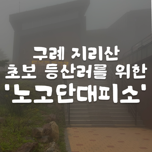 지리산 노고단 대피소 1박| 예약 방법과 성삼재 휴게소 코스 실제 후기⛰