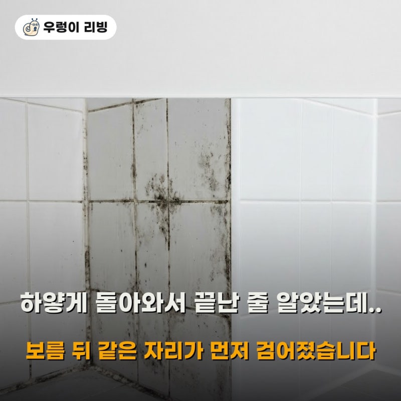 다이소 곰팡이제거제로 화장실 실리콘 지운 뒤 남은 문제