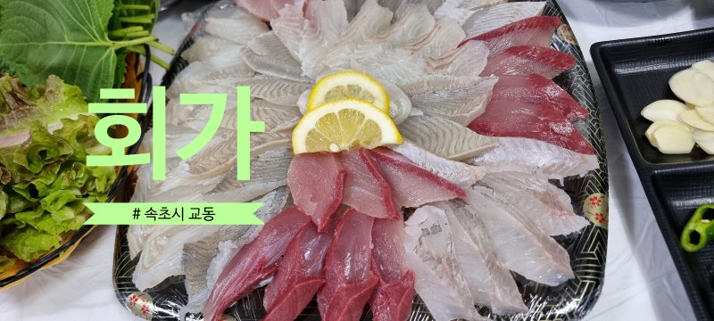 [속초 현지인 맛집] 가성비·신선도 미쳤다! 주택가 숨은 횟집 '회가' 내 돈 내산 솔직 후기 (....