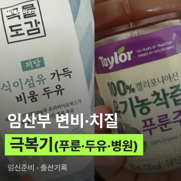 11주차-30주차 임산부 변비 및 치질 극복기(푸룬주스, 마그밀, 키위, 철분제 변비 해결법)