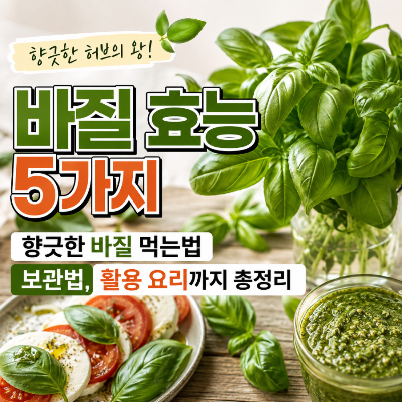 바질 효능 5가지,향긋한 바질 먹는법 보관법 활용 요리까지 총정리