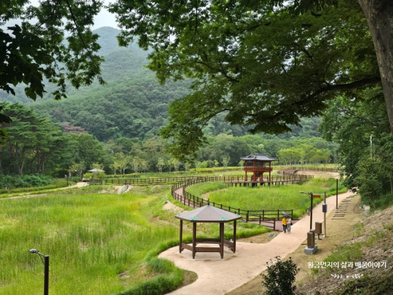 포항여행 보경사 무료입장, 진주식당