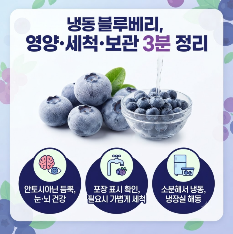 냉동 블루베리 효능과 보관·세척법｜냉동해도 영양 그대로일까
