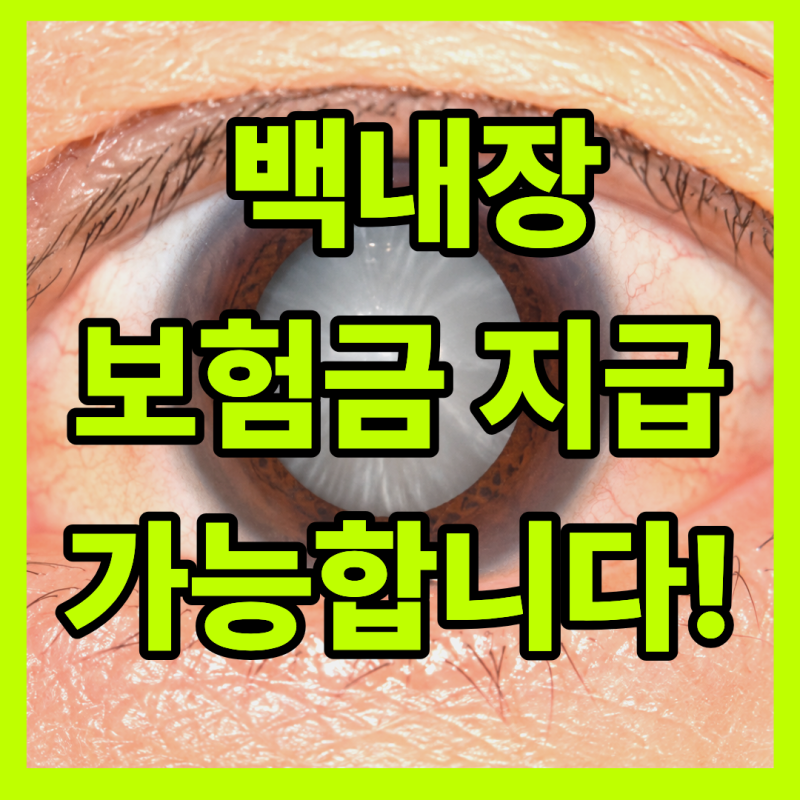 [H25,H26]백내장 보험금 나올까? (실비 거절 이슈부터 질병·종수술비 지급 조건 총정리)