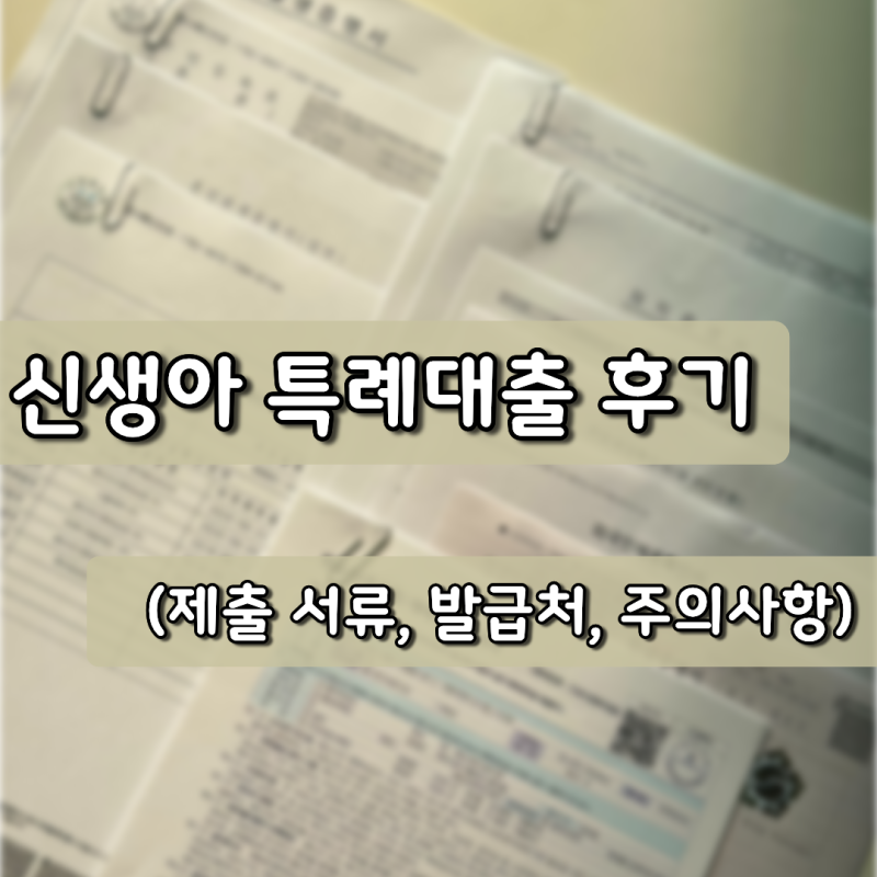 신생아특례대출(디딤돌) 찐찐찐후기 (제출 서류, 발급처, 주의사항)