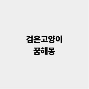 검은고양이꿈 아기고양이 꿈해몽 상황별 풀이