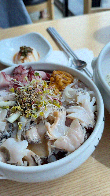 속초 물회 맛집 | 속초아이 근처 해산물 양 푸짐한 물회&회덮밥 맛집