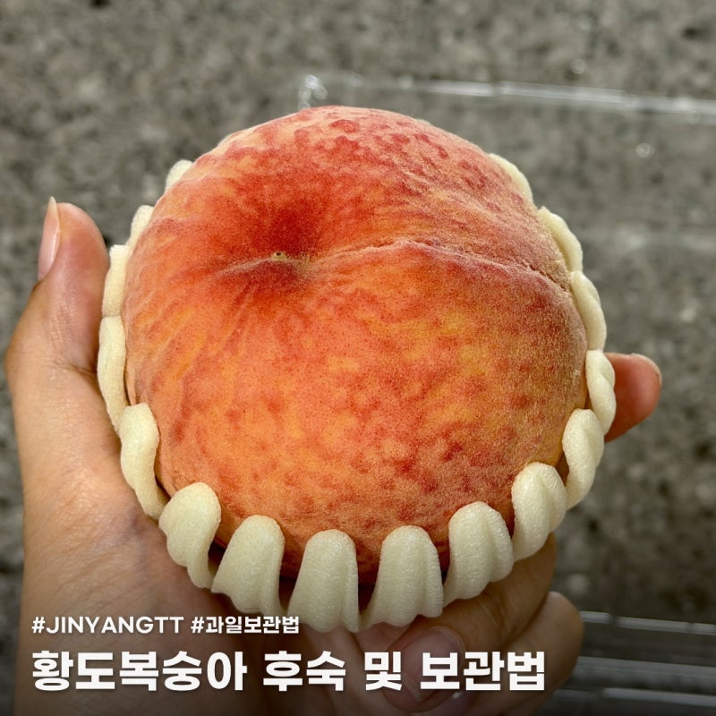 황도복숭아 보관법, 냉장고에 오래 두지 마세요